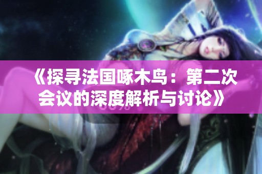 《探寻法国啄木鸟：第二次会议的深度解析与讨论》