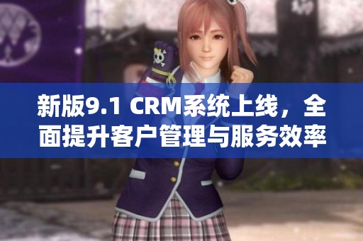 新版9.1 CRM系统上线，全面提升客户管理与服务效率