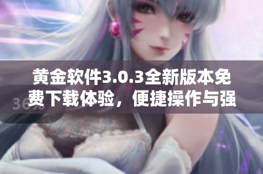 黄金软件3.0.3全新版本免费下载体验，便捷操作与强大功能相结合