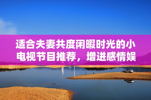 适合夫妻共度闲暇时光的小电视节目推荐，增进感情娱乐双丰收