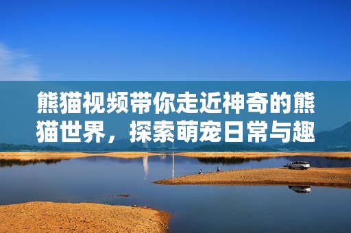 熊猫视频带你走近神奇的熊猫世界，探索萌宠日常与趣味生活