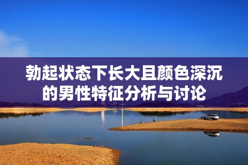 勃起状态下长大且颜色深沉的男性特征分析与讨论