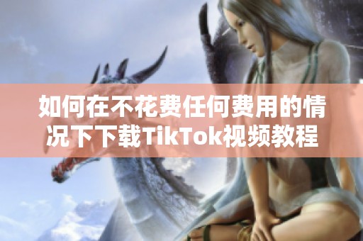 如何在不花费任何费用的情况下下载TikTok视频教程指南