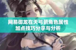 网易御龙在天弓箭角色属性加点技巧分享与分析