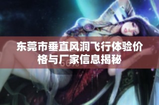 东莞市垂直风洞飞行体验价格与厂家信息揭秘