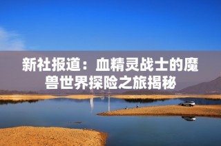 新社报道：血精灵战士的魔兽世界探险之旅揭秘