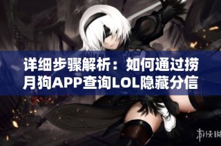 详细步骤解析：如何通过捞月狗APP查询LOL隐藏分信息