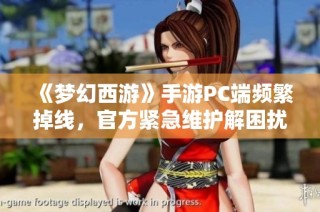 《梦幻西游》手游PC端频繁掉线，官方紧急维护解困扰