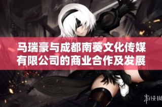 马瑞豪与成都南葵文化传媒有限公司的商业合作及发展前景分析
