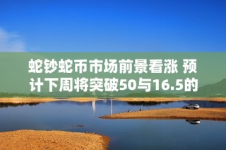 蛇钞蛇币市场前景看涨 预计下周将突破50与16.5的历史高点