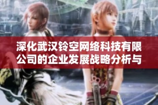 深化武汉铃空网络科技有限公司的企业发展战略分析与前景展望