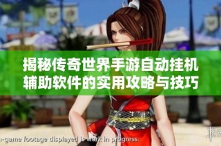 揭秘传奇世界手游自动挂机辅助软件的实用攻略与技巧