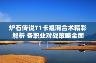 炉石传说T1卡组混合术精彩解析 各职业对战策略全面剖析