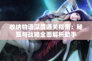 收纳物语深度通关指南：秘笈与战略全面解析助手