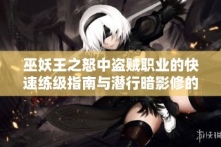 巫妖王之怒中盗贼职业的快速练级指南与潜行暗影修的深度解析