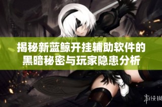 揭秘新蓝鲸开挂辅助软件的黑暗秘密与玩家隐患分析