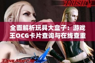 全面解析玩具大盒子：游戏王OCG卡片查询与在线查重服务