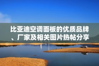 比亚迪空调面板的优质品牌、厂家及相关图片热帖分享