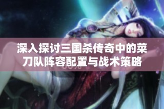 深入探讨三国杀传奇中的菜刀队阵容配置与战术策略