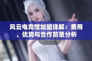 风云电竞馆加盟详解：费用、优势与合作前景分析