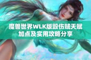 魔兽世界WLK版毁伤贼天赋加点及实用攻略分享