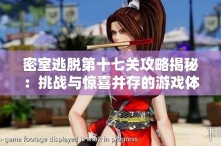 密室逃脱第十七关攻略揭秘：挑战与惊喜并存的游戏体验