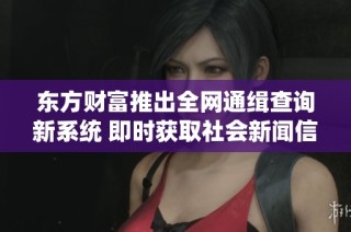 东方财富推出全网通缉查询新系统 即时获取社会新闻信息