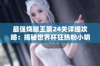 最强烧脑王第24关详细攻略：揭秘世界杯狂热粉小明的挑战技巧