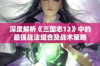 深度解析《三国志12》中的最强战法组合及战术策略