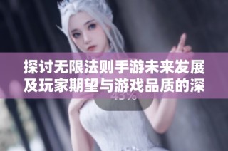 探讨无限法则手游未来发展及玩家期望与游戏品质的深度分析