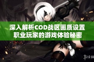 深入解析COD战区画质设置 职业玩家的游戏体验秘密