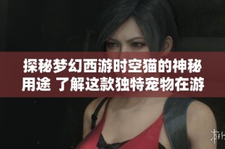 探秘梦幻西游时空猫的神秘用途 了解这款独特宠物在游戏中的重要地位与价值