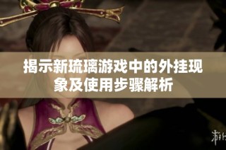 揭示新琉璃游戏中的外挂现象及使用步骤解析