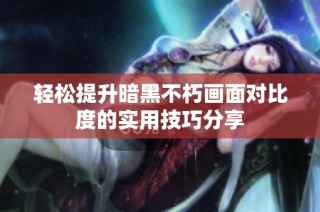 轻松提升暗黑不朽画面对比度的实用技巧分享