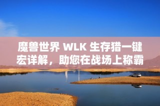 魔兽世界 WLK 生存猎一键宏详解，助您在战场上称霸全局