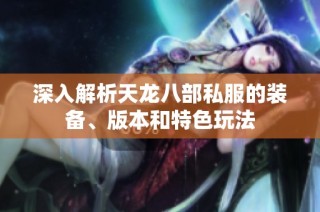 深入解析天龙八部私服的装备、版本和特色玩法