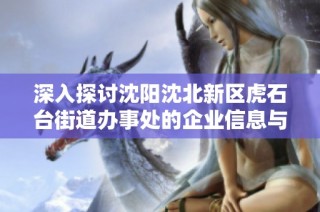 深入探讨沈阳沈北新区虎石台街道办事处的企业信息与发展动态