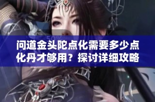 问道金头陀点化需要多少点化丹才够用？探讨详细攻略和技巧