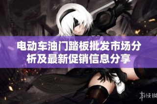 电动车油门踏板批发市场分析及最新促销信息分享