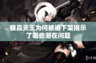 极品天王为何被迫下架揭示了哪些潜在问题