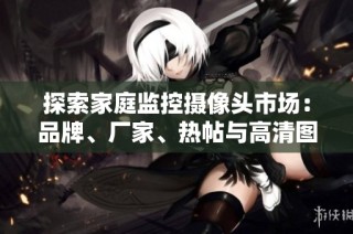 探索家庭监控摄像头市场：品牌、厂家、热帖与高清图片分享