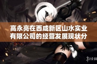高永亮在西咸新区山水实业有限公司的经营发展现状分析