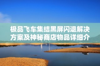 极品飞车集结黑屏闪退解决方案及神秘商店物品详细介绍