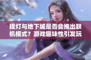 提灯与地下城是否会推出联机模式？游戏趣味性引发玩家热议