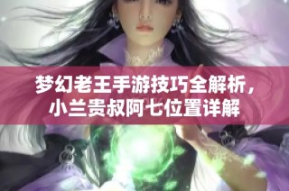 梦幻老王手游技巧全解析，小兰贵叔阿七位置详解