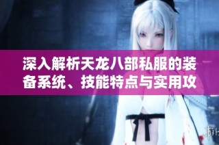 深入解析天龙八部私服的装备系统、技能特点与实用攻略