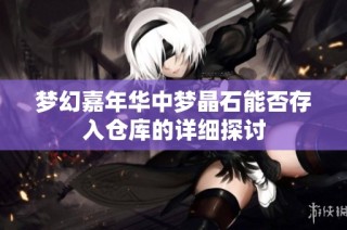梦幻嘉年华中梦晶石能否存入仓库的详细探讨