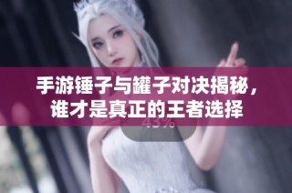 手游锤子与罐子对决揭秘，谁才是真正的王者选择