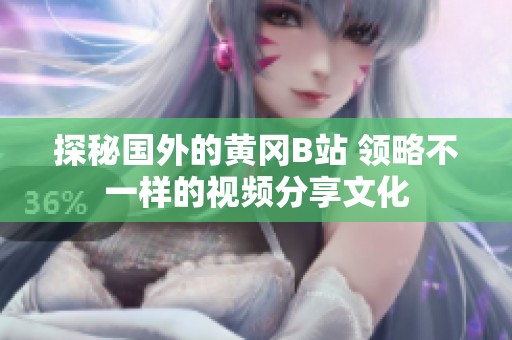 探秘国外的黄冈B站 领略不一样的视频分享文化