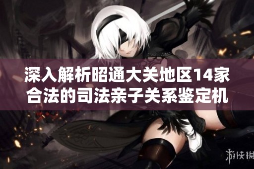 深入解析昭通大关地区14家合法的司法亲子关系鉴定机构